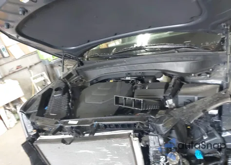 2024 Kia Telluride S z USA, uszkodzony, nr VIN 5XYP6DGC9RG481460